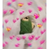 kermit the frog 9