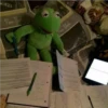 kermit the frog 10