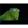 kermit the frog 11
