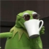kermit the frog 12