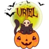 Calabaza Cute 1 9