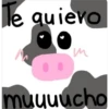 Amorcito BB te amo 9 10