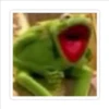 kermit the frog 14
