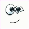 Funny Face 1 10