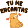 TU ME
ENCANTAS