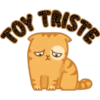 TOY
TRISTE
F
D