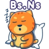 N
Bs.Ns