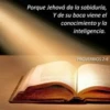 Jesús te ama 15
