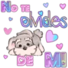 Amorcito cute 18