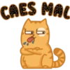 CAES MAL