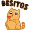BESITOS