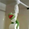 kermit the frog 20