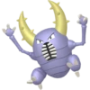 美