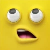 Funny Face 1 24