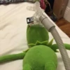 kermit the frog 23
