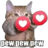 pew pew pew