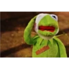 kermit the frog 27
