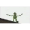 kermit the frog 29