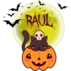 Calabaza Cute 1 25
