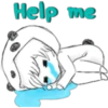 The Panda Man 9