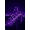 Roxo 1 10