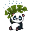 Panda Cute 14
