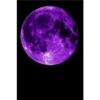 Roxo 1 11