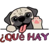 U
¿Qué HAY