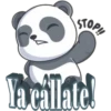 Panditas 12