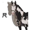 -
尺