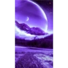 Roxo 1 18