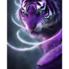 Roxo 1 22