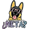 DO
¿NETA?