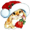 Variadito Navideño ✺8 25