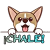 ¡CHALE!