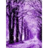 Roxo 1 25