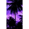 Roxo 1 27