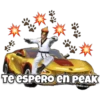 Free Fire Español 27