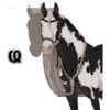 Q