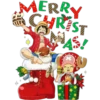 MERRY RIST 20