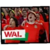 Fans De Futbol 1 16