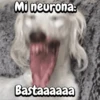 FuNnY MeMes con texto ✨ 5