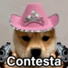 Contesta
