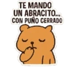 TE MANDO UN ABRACITO.... CON PUÑO CERRADO