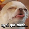 FuNnY MeMes con texto ✨ 6