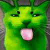 🐈‍⬛🐱🧶 GATOS | CATS 🧶🐱🐈‍⬛ 6