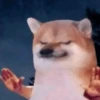 🐶🐕🦴PERRITOS | DOGS🦴🐕🐶 14