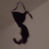 Memes de TikTok🤣🤭 7