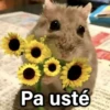 Pa usté