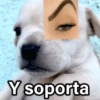 Y soporta
